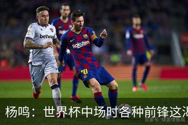 杨鸣：世界杯中场时各种前锋这渴了那饿了全来了 谁能记住后卫呢